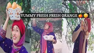 YUMMY fresh fresh orange 🍊 😋 boht maza aaya orange 🍊 utarne ka 🫰#ambertara #vlogs #orange #Viral