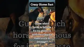 Horse Performs Complex Dressage Fun, Strange, and Crazy Horse Facts! From @ShortFactWizard