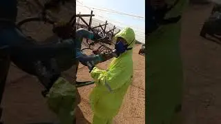 Dormex south africa