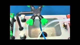 Chemistry Review: Setting up a reflux experiment
