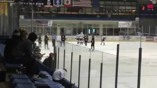 Hockey game |Fairbanks Ice Dogs vs grizzlies | tyranges skills
