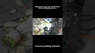Young coconut peeling machine coconut peeler coconut skin removing machine