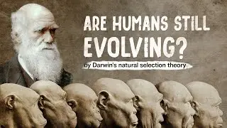 Are humans still evolving by Darwin's natural selection?