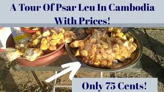 A Tour Of Psar Leu Market In Cambodia With Some Prices!
