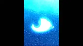 (FREE) 