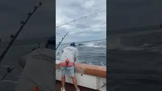 DOUBLE BLUE MARLIN 🎣 #METALMASHERSPORTFISHING #BLUEMARLIN #OFFSHOREFISHING #FISHING #MARLIN