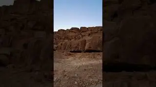 Desert Animals training in A Fight #ibex #fighting