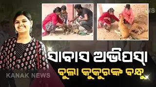 Hats Off! Highly Educated Girl Takes Care Of Stray Dogs In Cuttack