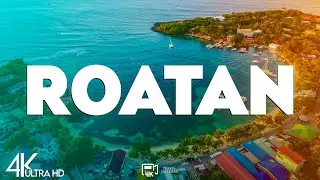Top 10 Best Things To do in Roatan, Honduras [Roatan Travel Guide 2025]