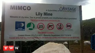 Lily Mine: A forgotten tragedy