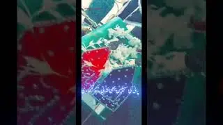 18 safar noha new WhatsApp status | 18 safar noha status | 18 safar status | 2024#shorts