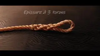 Epissure (#1) 3 torons
