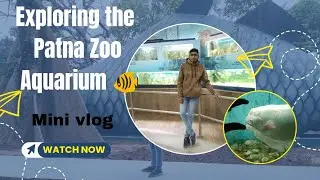 Patna Zoo Aquarium Vlog 🐠 | Bihar ka Famous Aquarium | मछली घर चिड़ियाघर पटना #explore #zoo #patna 