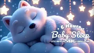 6 Hour Bedtime Lullabies for Babies & Toddlers &ndash; Sweet Little Arctic Fox Under Cozy Stars