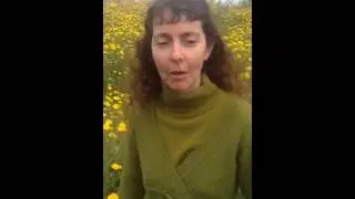 Отзыв о Рони Маркусе. Comment about Ronny Marcus.