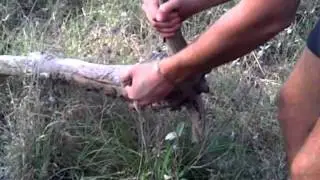 vaalbos hout jagters!