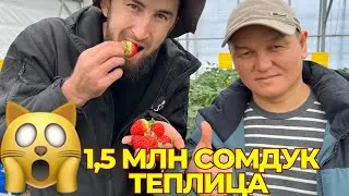 1,5 млн сомдон теплица 2 сотик 🙀 0701 944 440