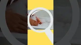 Seafood Shopping Online in Singapore - Cheap and Good from Shopee Singapore