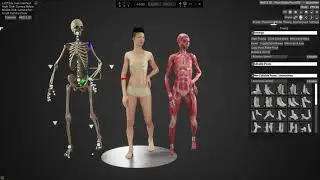 Creating a standing female drawing reference in HAELE 3D Pose Studio