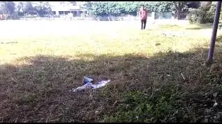 Dance ka baap