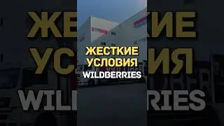 ЖЕСТКИЕ УСЛОВИЯ WILDBERRIES