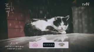 K-Drama Ending Effect with my Japan trip picture :v