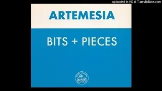 Artemesia - Bits + Pieces (Red Jerry Mix)