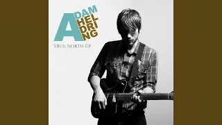 Bear Town