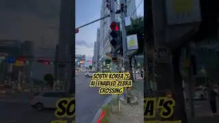 #zebracross #zebracrossing #AI #seoul #southkoreatravel #korea #technology