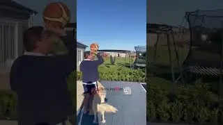 Anyang Plasticineman Industrial  #backyard #DIYcourt