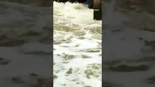 Dangers water #utubvideo #utubeshorts#Viral scene #videos #Pakistan #fishing #viral #cool water