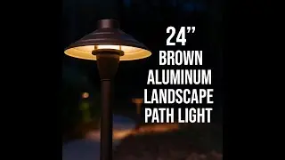 24