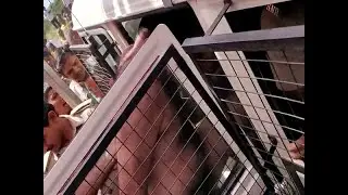 People beats man after he slapped to Hardik Patel in Surendranagar