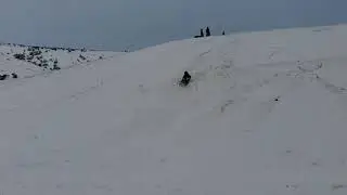 sledheads 3