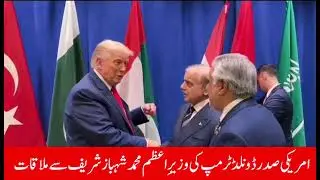 PM Shehbaz Sharif Meets Donald Trump at Arab-Islamic Summit in New York!
