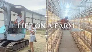 Life On A Commercial Chicken Farm: We Found The Mortality Pit, Daily Routines, Lots of Fun!