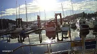 orcacam 3