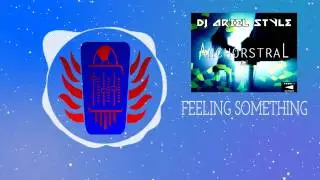 DJ Ariel Style - Feeling Something