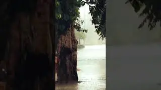 Aligarh baarish 🥵.... #aligarh #raining #song #vlog #nature #shorts #like #subscribe