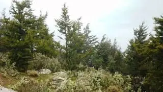 &Alpha;&nu;ά&beta;&alpha;&sigma;&eta; &sigma;&tau;&omicron; &Mu;&omicron;&nu;&omicron;&delta;έ&nu;&delta;&rho;&iota;