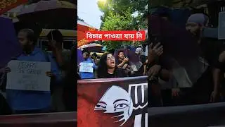 মনে রাখবেন। #mohamichil #মহামিছিল