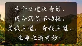 ***NEW RELEASE***《新编赞美诗》197 生命之道歌 WONDERFUL WORDS OF LIFE