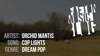 Orchid Mantis - Cop Lights (2019) [Faeton Music Blog]