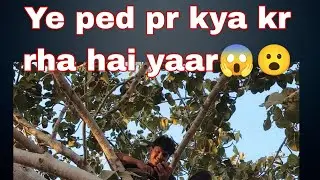 Ye ped pr kya kr rha hai yaar ||  What is he/it doing on the tree||😱😮                 
