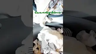 &iexcl;Incre&iacute;ble momento de lavar la ropa con un beb&eacute;! 👶🏻✨#laundryfun