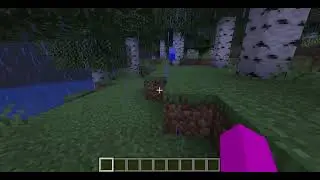 I made a server with no rules