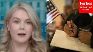'Having A Visa In The United States Is Not A Right': Karoline Leavitt Lays Out New Visa Policies