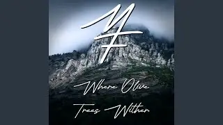 Where Olive Trees Wither