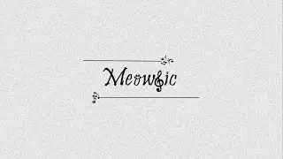 SHY - The Chainsmokers (Lyrics)