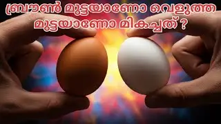 നിങ്ങൾ ഇത്രയും കാലം തെറ്റിദ്ധരിച്ച മുട്ടക്കഥ! Brown vs white eggs! Anoop Benny@TENETMALAYALAM